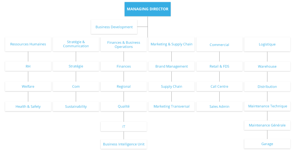 Organizational Chart