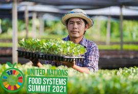 food systems summit 2021