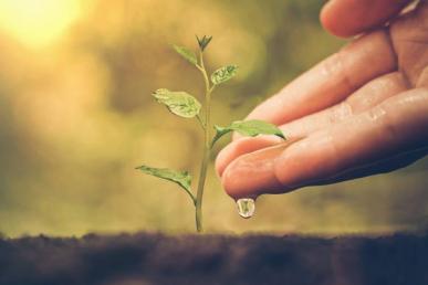Sustainability
